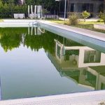 Restore a Neglected Pool Without Wasting Money