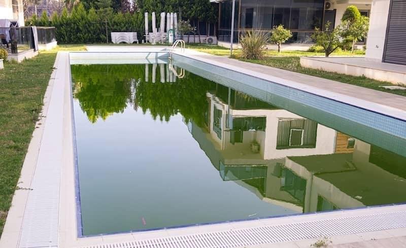 Restore a Neglected Pool Without Wasting Money